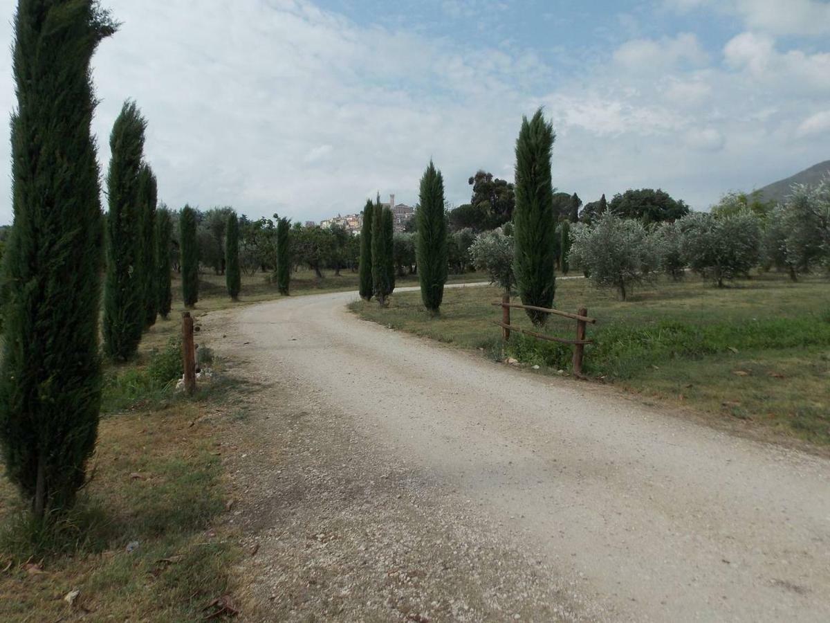 Agriturismo Cento Ducati Palombara Sabina Экстерьер фото